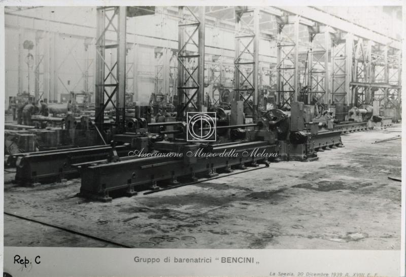 Rep C - Gruppo di barenatrici "Bencini"